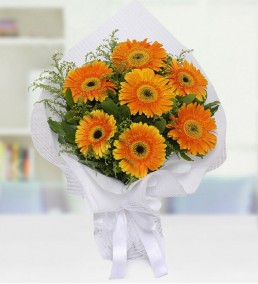 Gerbera Buketi | Çiçek Serisi