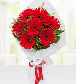 Gerbera Buketi |cicekci