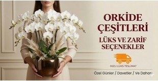 orkide