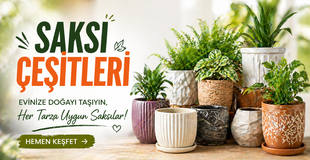 Saksı Çeşitleri